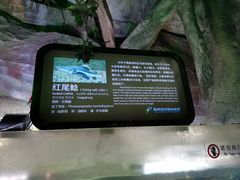 -泉城欧乐堡海洋极地世界