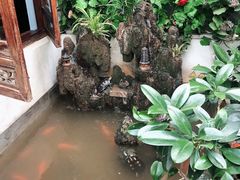 -丽江庭院·云南野生菌·海鲜火锅(鼓楼四合院店)