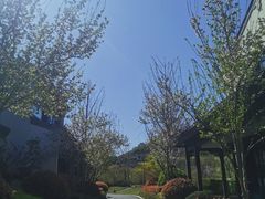 -雅达·阳羡溪山小镇中心