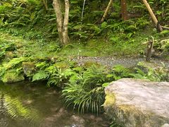 -三千院