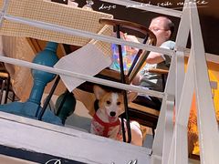 -艾蜜西餐厅(梅园店)