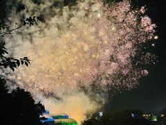 -大塘金香草谷