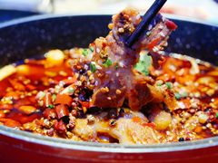 毛血旺-赵小姐丨新中餐(曲江店)