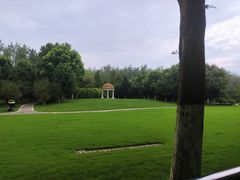 -合肥滨湖国家森林公园