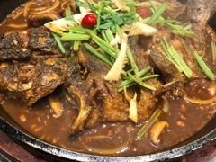 -老板恋上鱼(恒隆广场店)