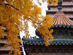 -北京石刻艺术博物馆(五塔寺)