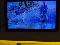 -世新养生馆(福马路店)