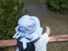 -北海金海湾红树林生态旅游区