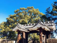-名古屋城