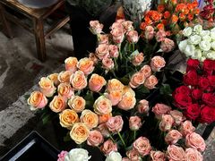 -桂林市花鸟市场