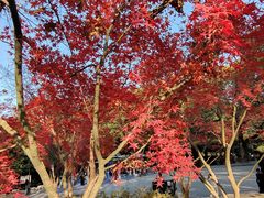 -莹珠阁·私房菜