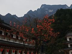 -秦岭天竺山生态文化旅游景区