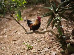 -汉艺唐风茶艺培训(联发华美空间店)