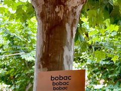 -BOBAC