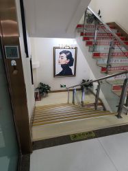 -青岛诺德医学美容医院