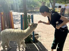 -水上乐园·欢乐世界