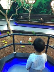 -未来动物城动物主题公园(大悦城店)