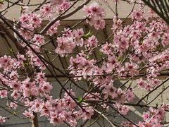 -上海市静安区图书馆(新闸路馆)