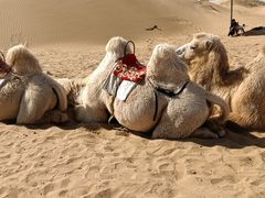 -银肯塔拉沙漠生态旅游景区