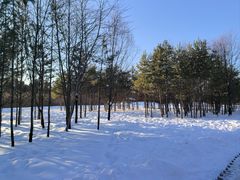 -北极村旅游风景区