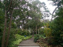 -仙岳公园