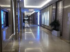 -郑州新郑国际机场T2航站楼-贵宾厅B区