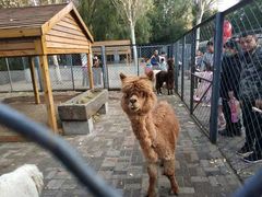 -长白岛森林公园