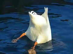 -辛香汇·现炒川菜(武进吾悦店)