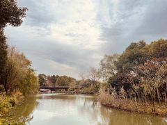 -梁鸿国家湿地公园