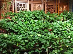 -和院老火锅铜锅烧烤海鲜(朱雀大街店)