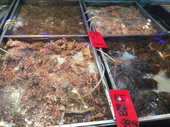 湛江渔港(乐园路店)-湛江渔港·大排档(乐园路总店)
