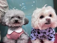 -和它·交个朋友·狗咖猫咖(爱琴海店)