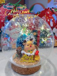 -臻康乃馨月子中心(集美店)