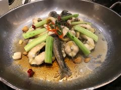 -新兴·金羊座·粤菜点心(乐峰店)