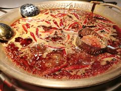 -小龙坎火锅(全球总店)