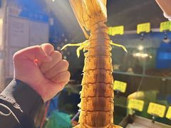 -辉记炭烧海鲜大排档·老字号(福田店)