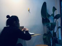 -常识咖啡common sense(春熙路店)