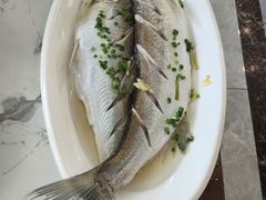 清蒸白鱼-蟹天蟹地农家菜·阳澄湖大闸蟹(浅水湾店)