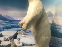 -陕西自然博物馆