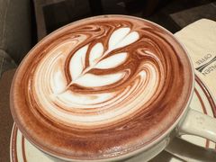 -LOTTA COFFEE(安居博文苑店)