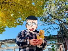 -美加国际幼儿园(四季青校区)