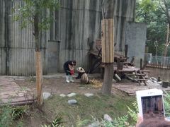 -成都大熊猫繁育研究基地-熊猫厨房