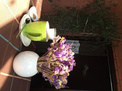 iphone_upload_pic-清悦酒吧咖啡馆