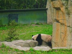 -上海野生动物园
