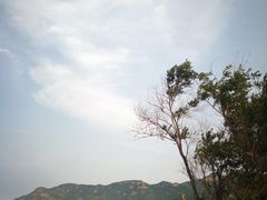 -在海一方公园
