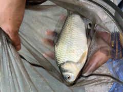 -酷鱼垂钓CLUB(朝阳区博大路店 )