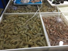 -毕家疃综合市场