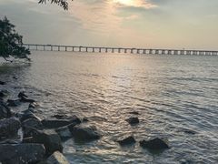 -宝安西湾红树林湿地公园