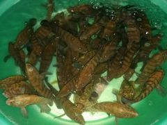 -北海金海湾红树林生态旅游区