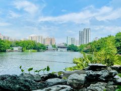 -荔湾湖公园